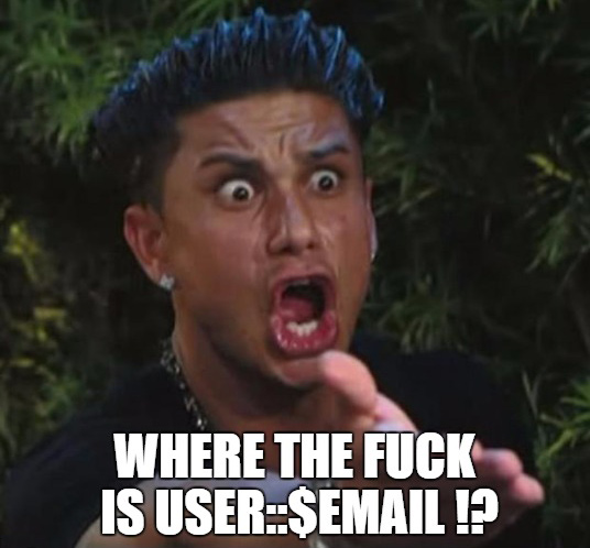 DJ Pauly D Meme: “Where the fuck is User::$email!?”